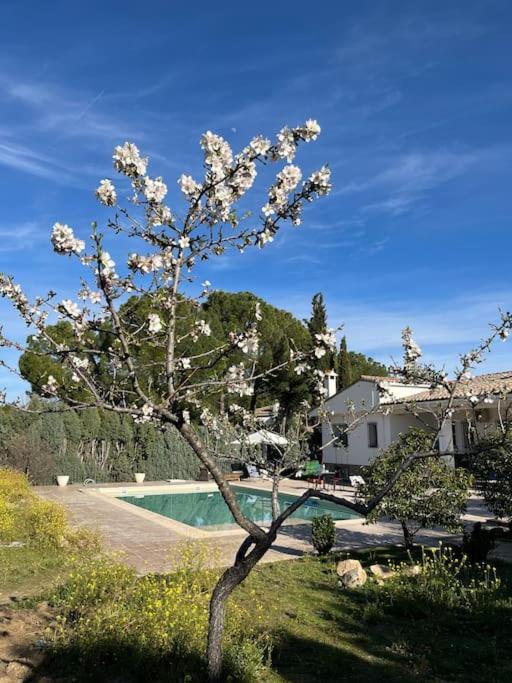 Casa Galiana. Villa Argés Exteriör bild